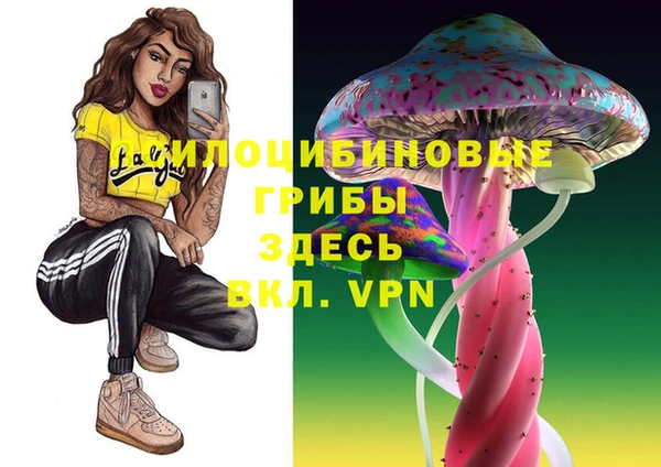 mdpv Армянск